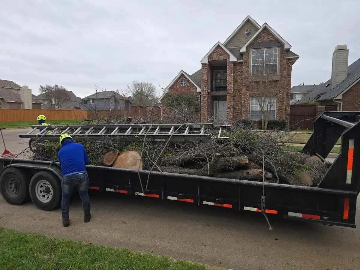 Expert Tree Fertilization with proper safety equipment in Hazard